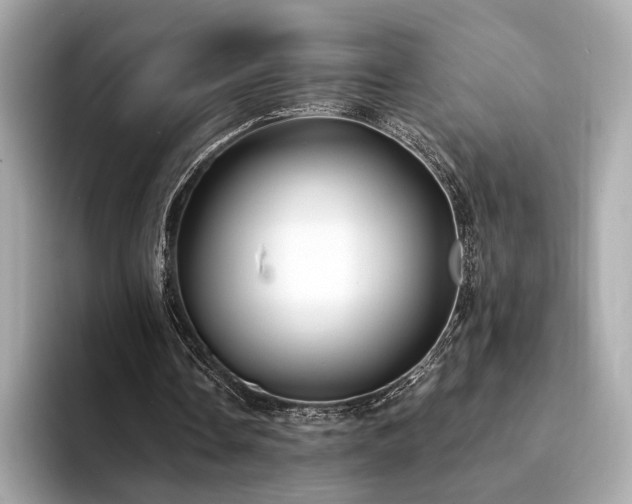 X0000094330338200711021414
