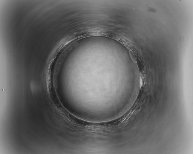 X0000094330339200711021414