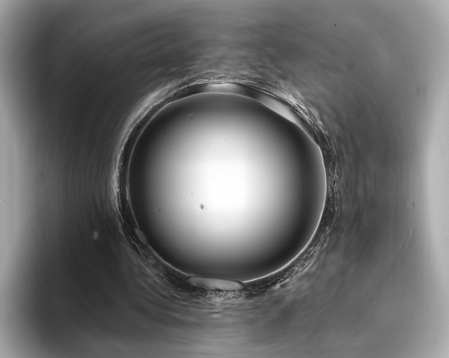 X0000094330340200711021414