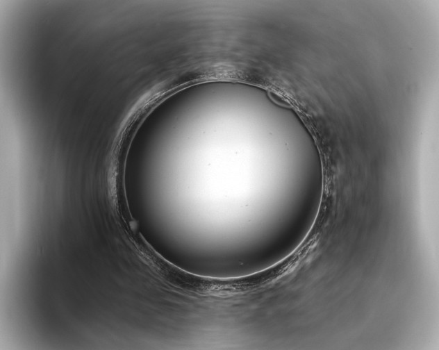X0000094330341200711021414