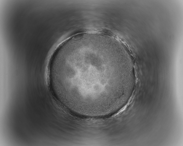 X0000094330343200711021414