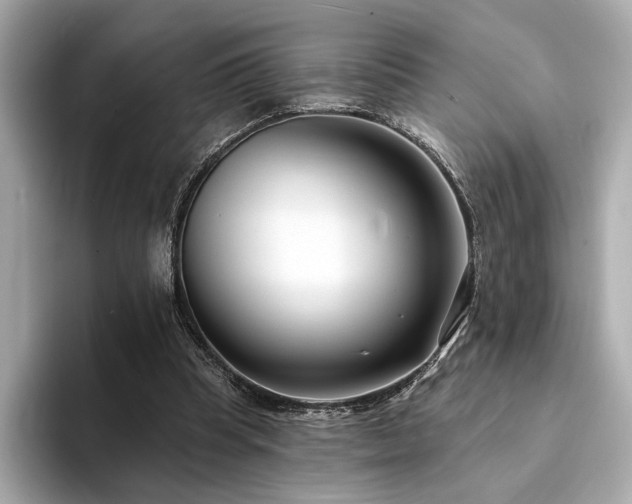 X0000094330345200711021414