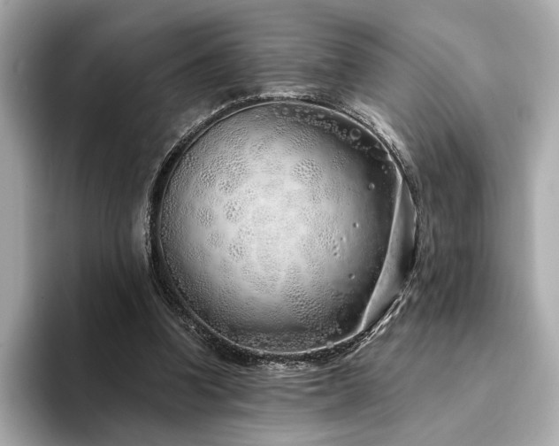 X0000094330346200711021414