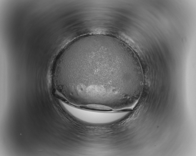 X0000094330347200711021414