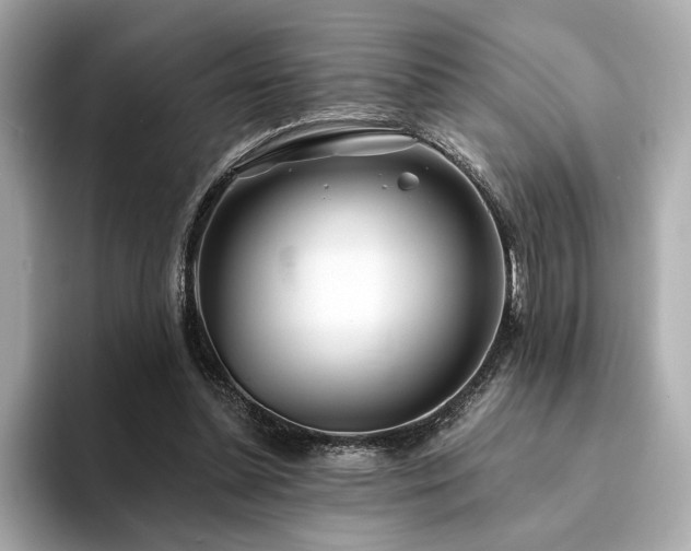 X0000094330348200711021414