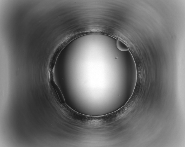 X0000094330350200711021414