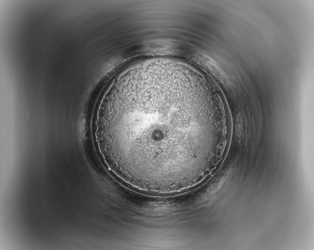 X0000094330351200711021414