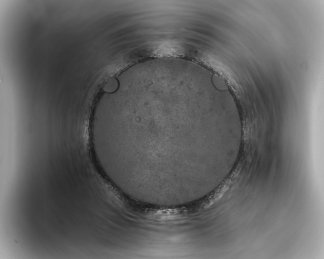 X0000094330353200711021414