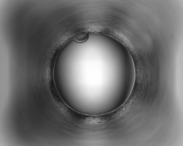 X0000094330354200711021414