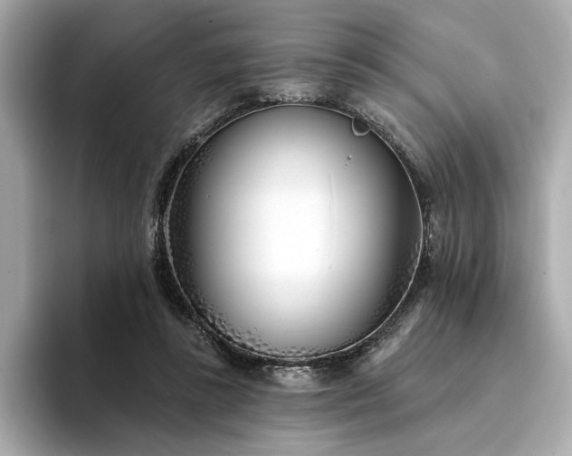 X0000094330355200711021414