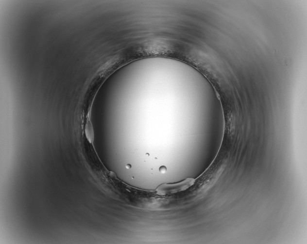 X0000094330356200711021414