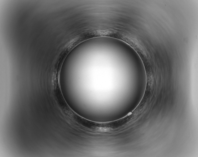 X0000094330360200711021414