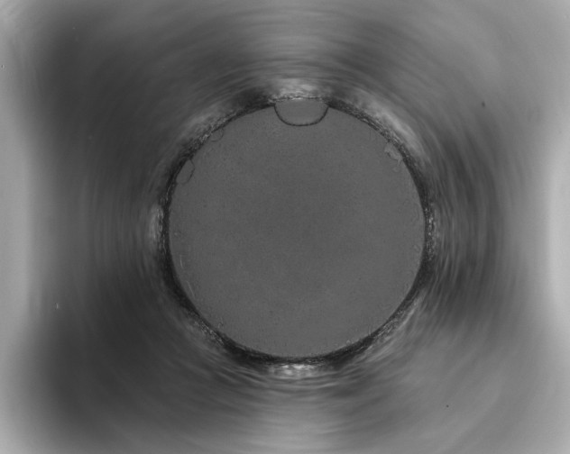 X0000094330361200711021414