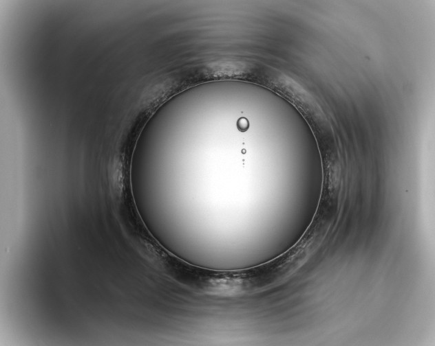 X0000094330362200711021414