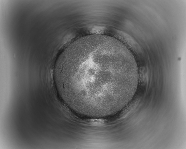 X0000094330363200711021414