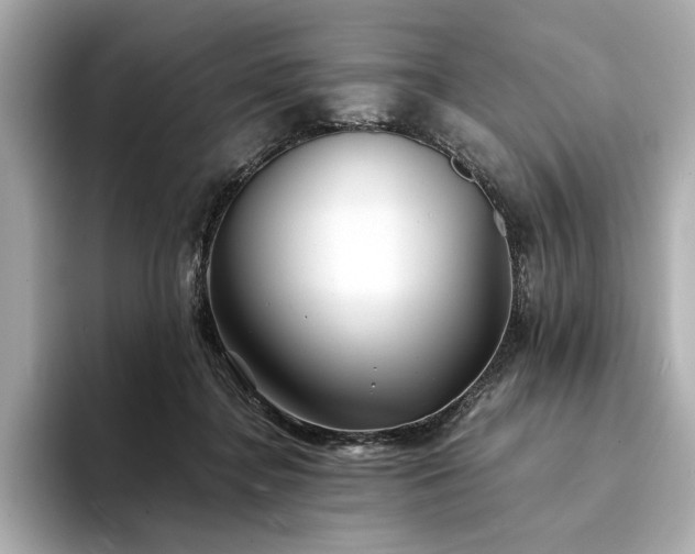 X0000094330364200711021414