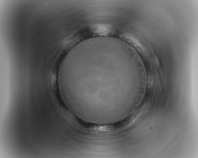 X0000094330365200711021414