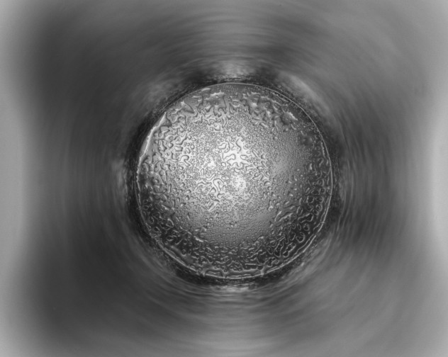 X0000094330366200711021414