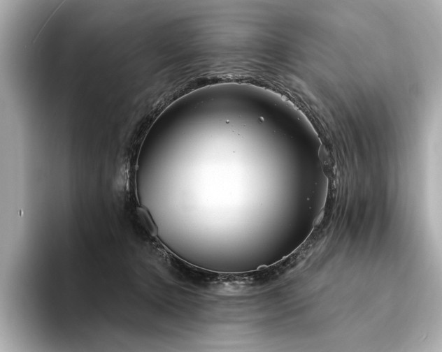 X0000094330368200711021414