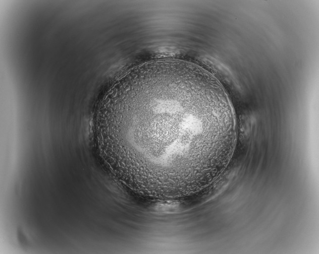 X0000094330369200711021414