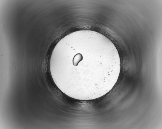 X0000094330370200711021414