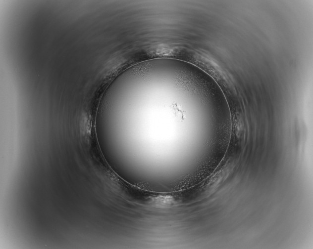 X0000094330374200711021414