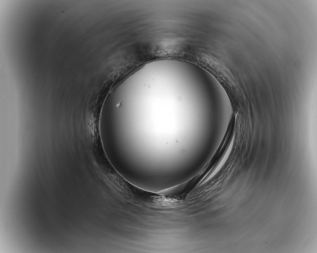 X0000094330380200711021414