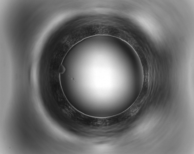X0000094330383200711021414