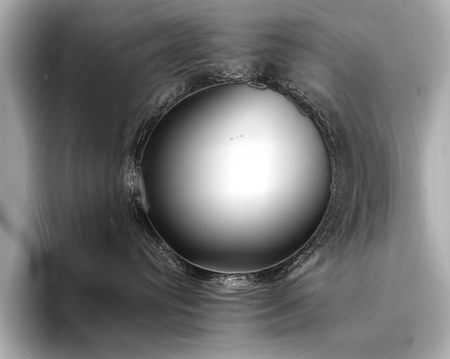 X0000094330384200711021414