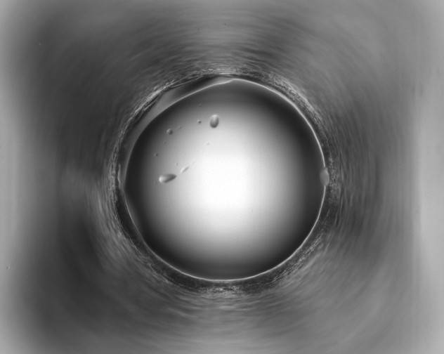 X0000094330386200711021414