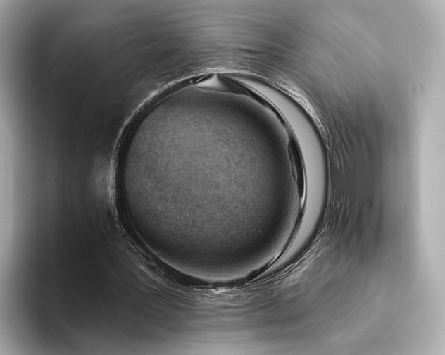 X0000094330387200711021414