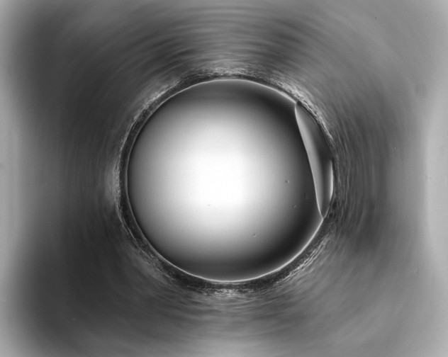 X0000094330390200711021414