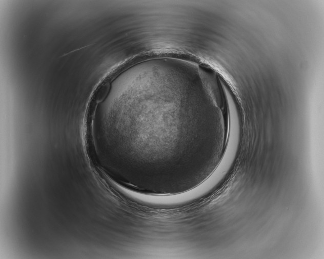 X0000094330391200711021414