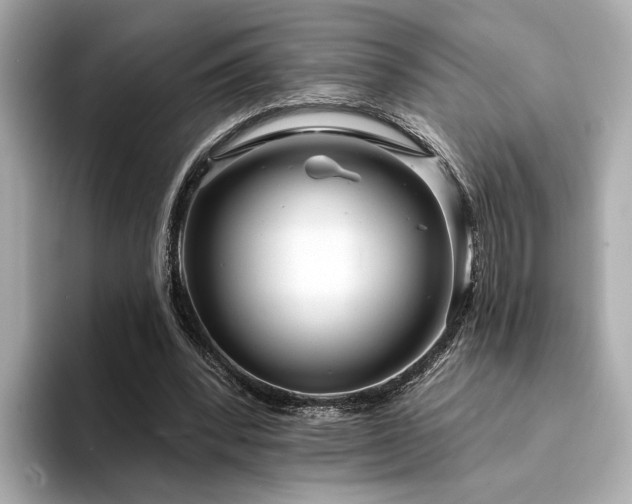 X0000094330392200711021414