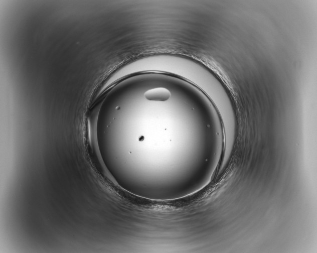 X0000094330393200711021414