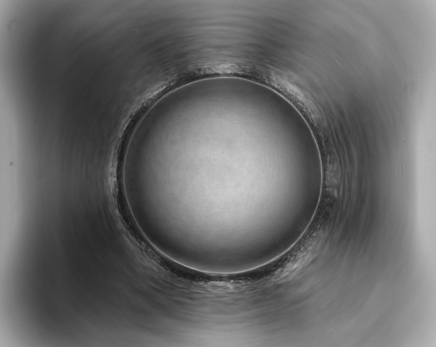 X0000094330394200711021414
