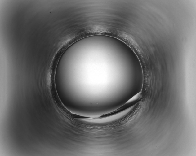 X0000094330395200711021414