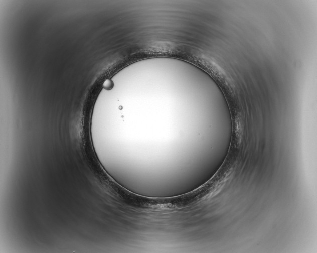 X0000094330396200711021414