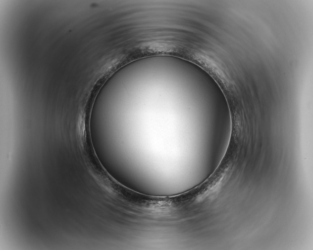 X0000094330398200711021413