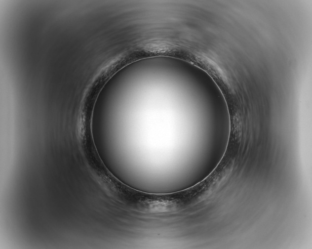 X0000094330400200711021413