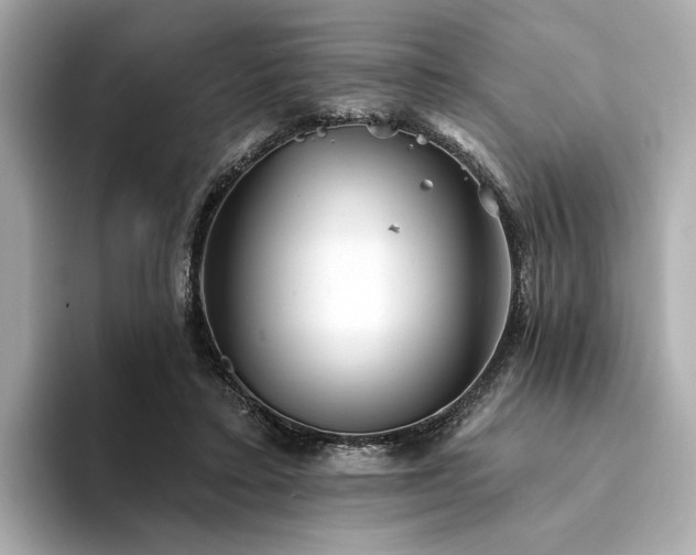 X0000094330403200711021413