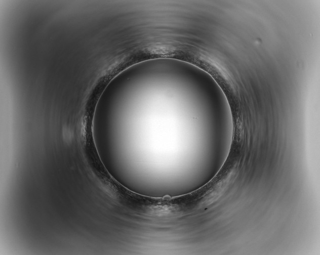 X0000094330404200711021413