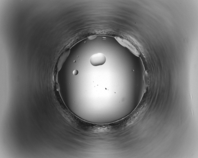 X0000094330405200711021413