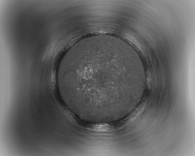 X0000094330410200711021413