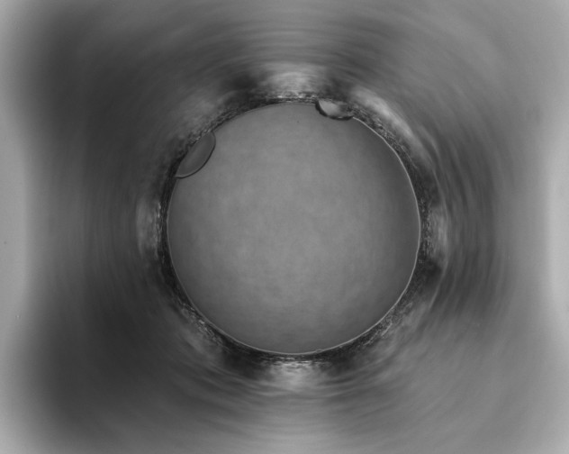 X0000094330413200711021413