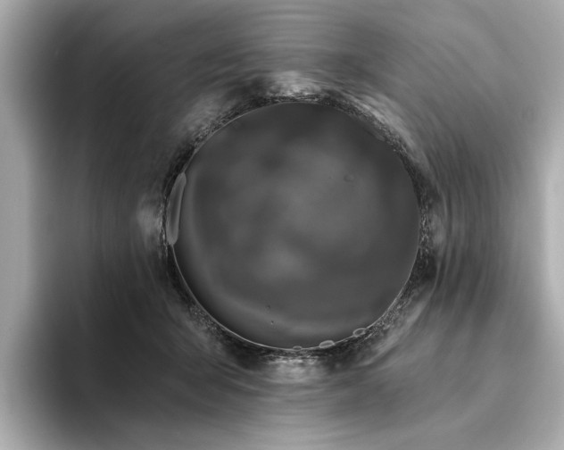 X0000094330415200711021413