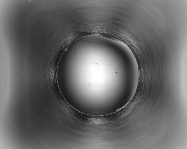 X0000094330417200711021413