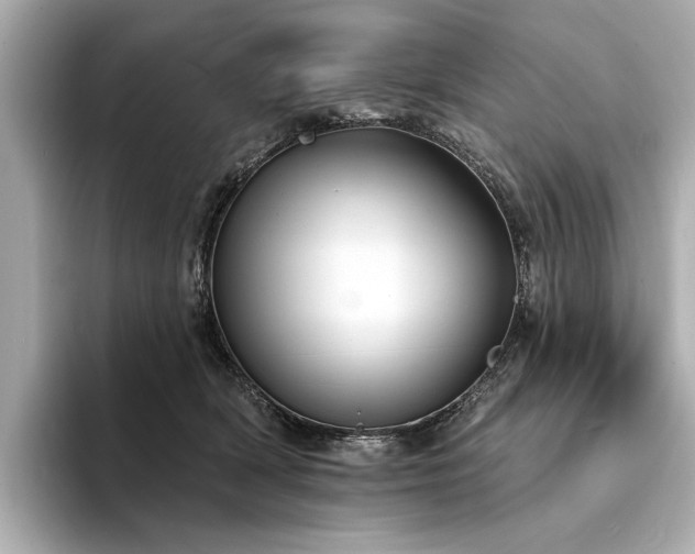 X0000094330418200711021413