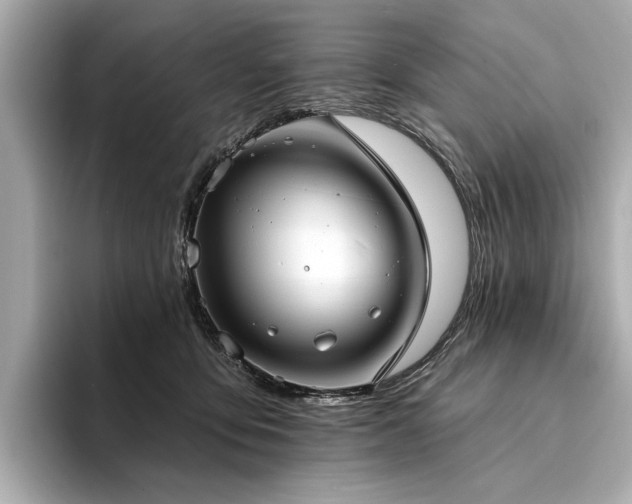X0000094330419200711021413