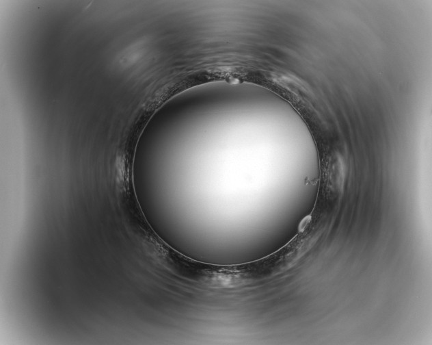 X0000094330420200711021413